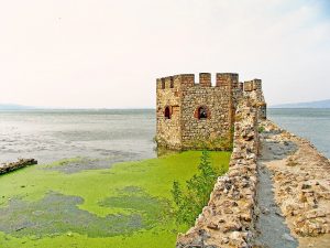 Torre 10 Fortezza di golubac in Serbia